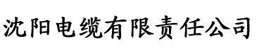 久久大量国产情侣电缆厂logo